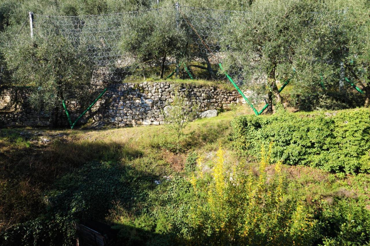 Primo Passo Apartments Arco Dış mekan fotoğraf